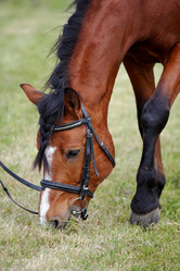 Similar image 1397897