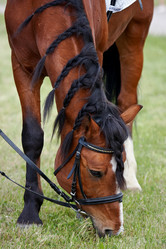 Similar image 1397898