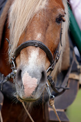 Similar image 1397899