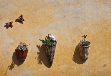 Similar image 1397916