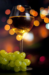 Similar image 1397934