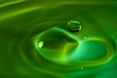 Similar image 1397936