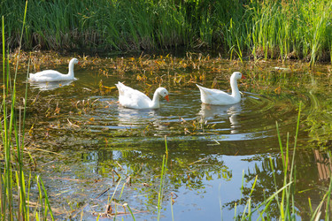 Similar image 1397949