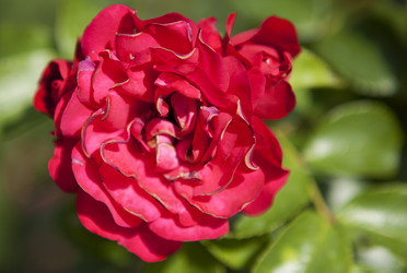 Similar image 1397957