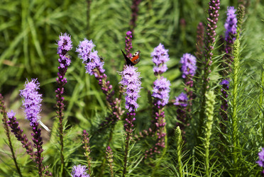 Similar image 1397958