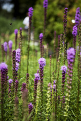 Similar image 1397959