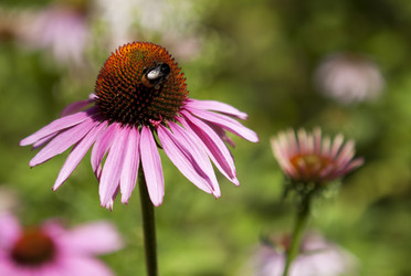 Similar image 1397971