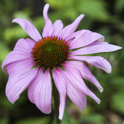 Similar image 1397972