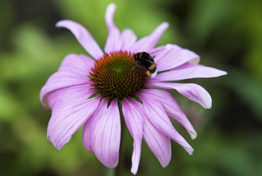 Similar image 1397973