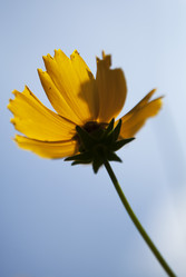 Similar image 1397974