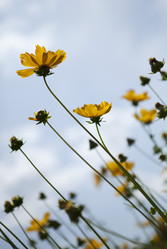 Similar image 1397975