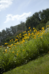 Similar image 1397976