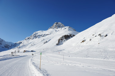 Similar image 1398093