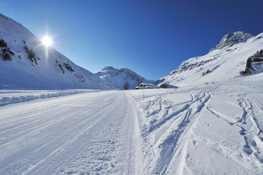 Similar image 1398109