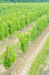 Similar image 1398150