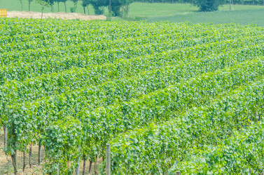 Similar image 1398158