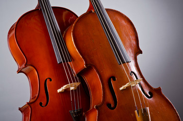 Similar image 1398315