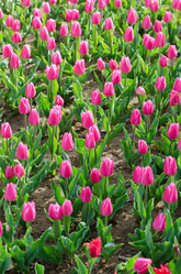 Similar image 1398320