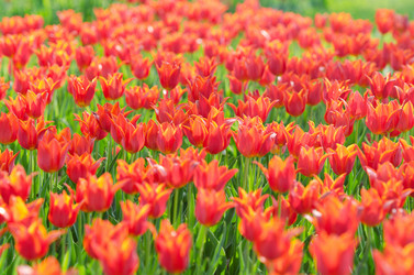 Similar image 1398321