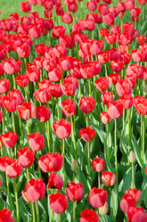 Similar image 1398334