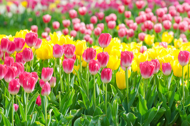 Similar image 1398335