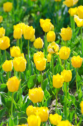 Similar image 1398347