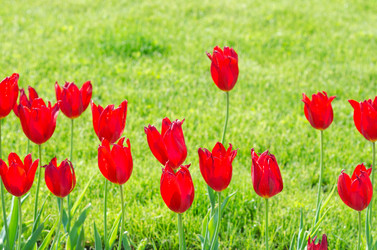 Similar image 1398349