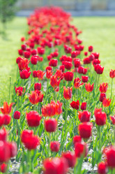 Similar image 1398360