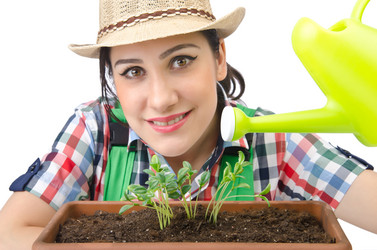 Similar image 1398368