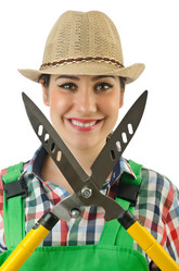 Similar image 1398374