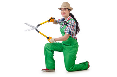 Similar image 1398394