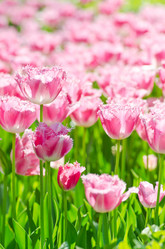 Similar image 1398406