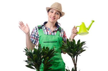 Similar image 1398413