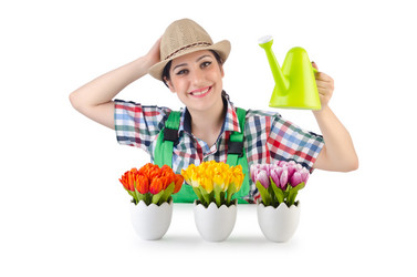 Similar image 1398415