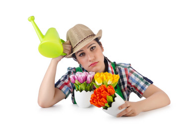 Similar image 1398416