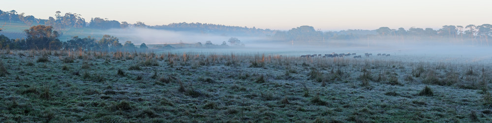 Similar image 1398955