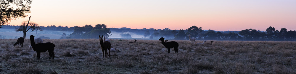 Similar image 1398956