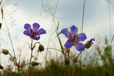 Similar image 1398960