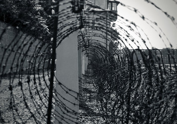 Similar image 1399000