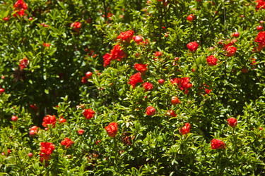 Similar image 1399030