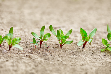 Similar image 1399061