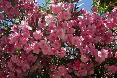 Similar image 1399078