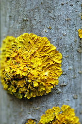 Similar image 1399214