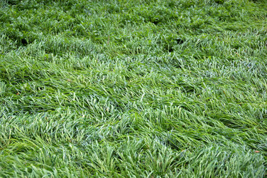 Similar image 1399229