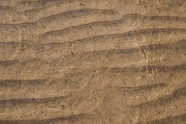 Similar image 1399249