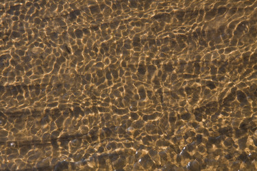 Similar image 1399250