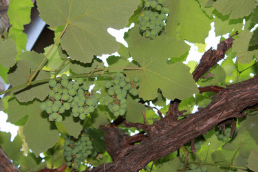 Similar image 1399268