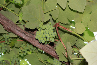 Similar image 1399269