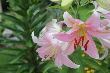 Similar image 1399277