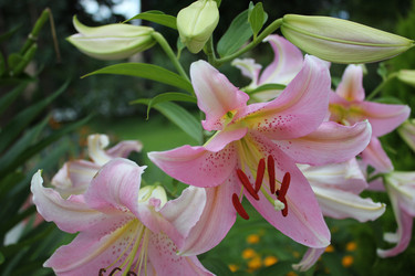 Similar image 1399278